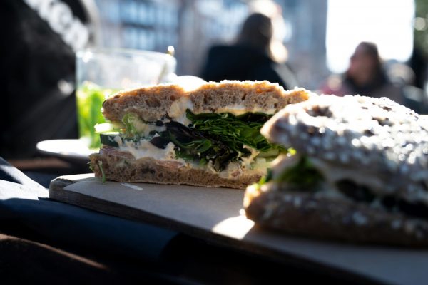 robert-inze-FEoQP2fqvOU-unsplash robert-inze-FEoQP2fqvOU-unsplash